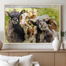 Curious Cows Farmhouse Wall Art | Ready to Hang and Framed