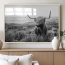 Scottish Highland Cow Wall Art | Black and White Canvas