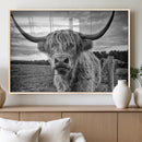 Scottish Highland Cow Wall Art Canvas Print | Ready to Hang