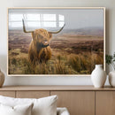 Scottish Highland Cow Canvas Wall Art – Rustic Farmhouse