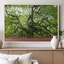 Framed Angel Oak Tree Wall Art - 3-Panel Canvas Prints,