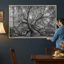 Majestic Angel Oak Tree Black and White Canvas Print – Multi by MyGreatCanvas | Canvas Wall Art Prints | Photo Prints & Wall Decor