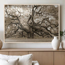 Sepia Framed Angel Oak Tree Wall Art - 3-Panel Canvas