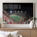 Houston Cougars Football Team Print - Houston TDECU Stadium