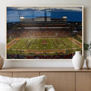 University of Illinois Fighting Illini Football Team Print - by MyGreatCanvas | Canvas Wall Art Prints | Photo Prints & Wall Decor