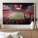 University of Nebraska Cornhuskers Football Team Print -