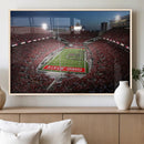 Ohio State University Buckeyes Football Team Print -