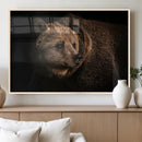 Wild Grizzly 399 Bear Canvas Wall Art Print, Bear Animal by MyGreatCanvas | Canvas Wall Art Prints | Photo Prints & Wall Decor
