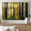 Sunlit Forest Wall Art Canvas Print – Large Framed Woodland