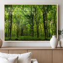 Lush Green Forest Canvas Print | 3-Panel Forest Wall Art |