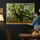 Angel Oak Tree Wall Art Canvas Print | Forest Tree Nature