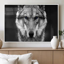 Black and White Wild Wolf Wall Art Canvas Print