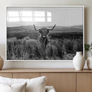 Black and White Highland Cow Canvas Wall Art, Longhorn by MyGreatCanvas | Canvas Wall Art Prints | Photo Prints & Wall Decor
