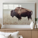 Bison in Field Wall Art Canvas Print For Farmhouse Barn
