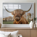 Highland Cow Animal Scottish Cattle Art Print Farmhouse Wall