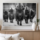American Bison Art | Buffalo Herd Wall Art Canvas Print, BW