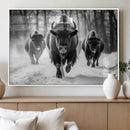 Buffalo Wall Art Canvas Print, Bison Family Wall Art Canvas by MyGreatCanvas | Canvas Wall Art Prints | Photo Prints & Wall Decor