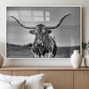Texas Longhorn Cow Wall Art, Texas Longhorn Canvas, Cattle