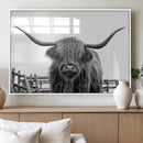 Longhorn Canvas Print, Bighorn Cow Wall Art Canvas Print