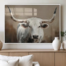White Longhorn Bull Wall Art Canvas Print – Framed and Ready