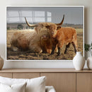 Highland Cow Canvas Wall Art Animal Print for Farm House