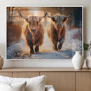 Scottish Highland Cow Horn Farm Wall Art Canvas Print