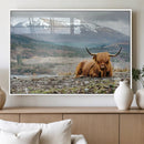 Highland Cow Horn Farm Wall Art Canvas Print