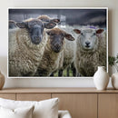Charming Sheep Portrait Wall Art – Trio of Woolly Companions by MyGreatCanvas | Canvas Wall Art Prints | Photo Prints & Wall Decor