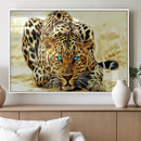 Blue-Eyed Leopard Canvas Wall Art - Framed Animal Print