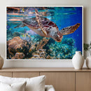 Underwater Coral Reef Sea Turtle Wall Art Canvas Print,