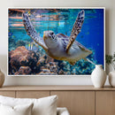 Underwater Sea Turtle Wall Art Canvas Print – Vibrant Ocean