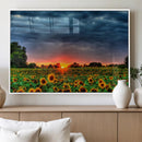 Golden Sunflower Field at Sunset – Breathtaking Sky and