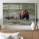Wildlife Photography of 399 Grizzly Bear Cubs | Queen of the by MyGreatCanvas | Canvas Wall Art Prints | Photo Prints & Wall Decor