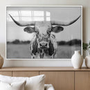 Highland Cow Wall Art Canvas Print – Black and White Western