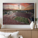 Indiana Memorial Stadium Wall Art Canvas Print, Framed