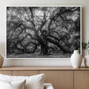 Black and White Old Angel Oak Tree Wall Art Canvas Print by MyGreatCanvas | Canvas Wall Art Prints | Photo Prints & Wall Decor