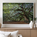 Historic Tree Wall Art – Framed Mossy Branch Canvas Artwork, by MyGreatCanvas | Canvas Wall Art Prints | Photo Prints & Wall Decor