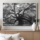 Ancient Oak Wall Art Canvas Print – Gnarled Tree Twisted by MyGreatCanvas | Canvas Wall Art Prints | Photo Prints & Wall Decor