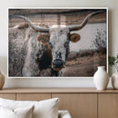 Texas Longhorn Wall Art Canvas Print – Framed Spotted Bull