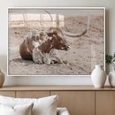 Texas Longhorn Wall Art Canvas Print – Framed Resting Bull by MyGreatCanvas | Canvas Wall Art Prints | Photo Prints & Wall Decor