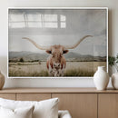 Texas Longhorn Wall Art Canvas Print – Framed Western Cow