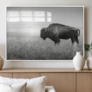Bison Wall Art Canvas Print – Framed Rustic Wildlife Scene by MyGreatCanvas | Canvas Wall Art Prints | Photo Prints & Wall Decor
