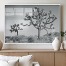 Joshua Tree Wall Art Canvas Print – Framed Black White