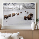 Bison Herd Wall Art Canvas Print – Framed Western Wildlife by MyGreatCanvas | Canvas Wall Art Prints | Photo Prints & Wall Decor