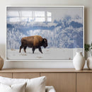 Bison Snow Wall Art Canvas Print – Framed Wildlife Scene by MyGreatCanvas | Canvas Wall Art Prints | Photo Prints & Wall Decor