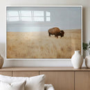 Buffalo Wall Art Canvas Print – Framed Western Wildlife by MyGreatCanvas | Canvas Wall Art Prints | Photo Prints & Wall Decor