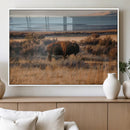 Western Framed Bison Wall Art Canvas Print by MyGreatCanvas | Canvas Wall Art Prints | Photo Prints & Wall Decor