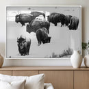 Buffalo Herd Wall Art Canvas Print – Framed Black and White by MyGreatCanvas | Canvas Wall Art Prints | Photo Prints & Wall Decor