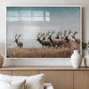 Elk Herd Wall Art Canvas Print – Framed Wildlife Photography