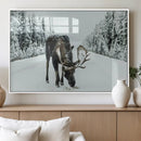 Moose Snow Wall Art Canvas Print – Framed Winter Wildlife by MyGreatCanvas | Canvas Wall Art Prints | Photo Prints & Wall Decor